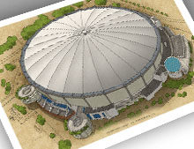 Thumbnail of 13x19 print of Tropicana Field